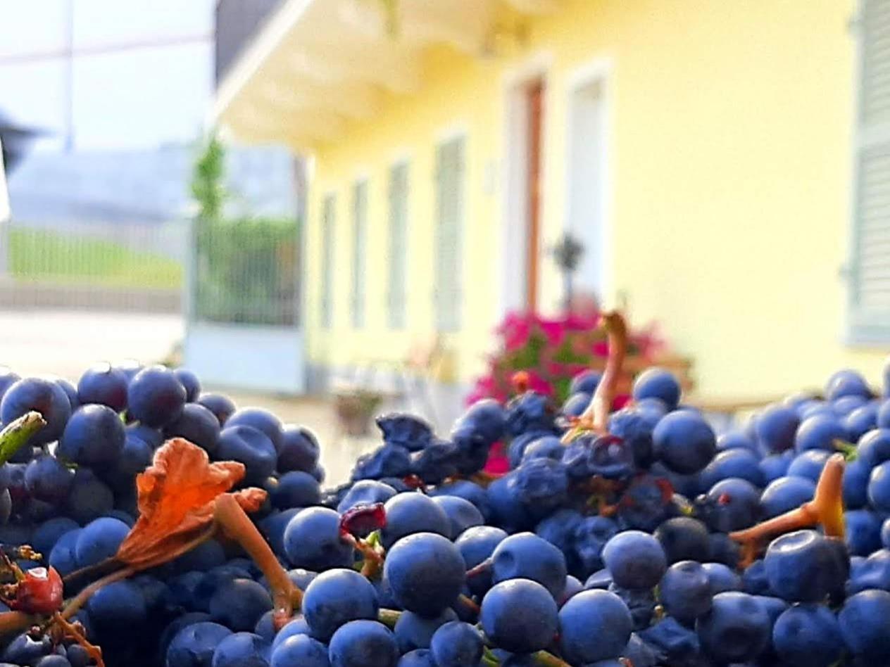 Ciabot Delle Aie - Barolo Apartment Екстериор снимка
