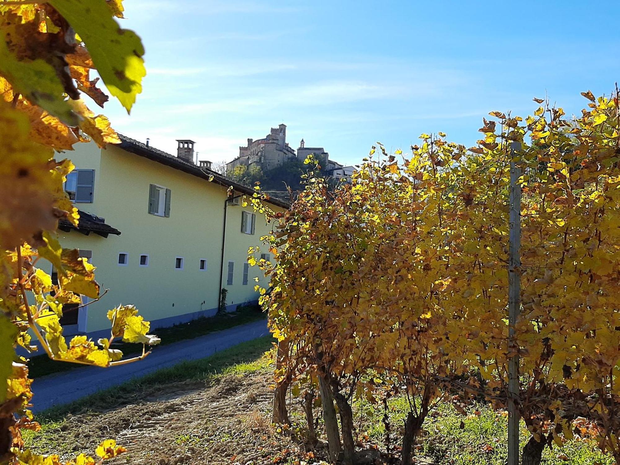 Ciabot Delle Aie - Barolo Apartment Екстериор снимка